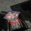 느티나무야영장 이미지