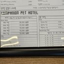 컴페니언그루밍 네이버블로그