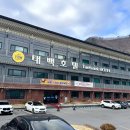 4767 | 태백호텔 근처 맛집 바로 옆이라 더 편한 태백 알리소