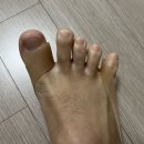 컴피리피
