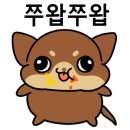 혼젠 이미지