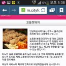 교동멧돼지 이미지