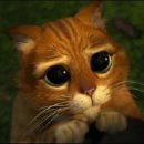 장화신은고양이 이미지