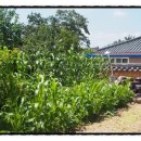 향나무민박 이미지