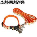 펫앤피플 이미지