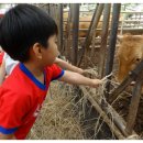 정우목장 이미지