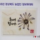 2018년 경북 농업인 정보화 경진대회 및 경북정농 정보화 농업인 전진대회 이모저모