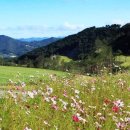 일레븐CC 이미지