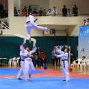 꿈나무태권도체육관 이미지