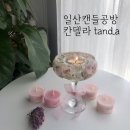 칸델라tand.a
