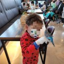 리프패럿 이미지