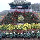 김미숙농장 이미지