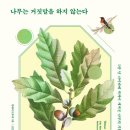 나이테 이미지
