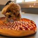 고잔유치원 이미지