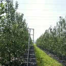 꽃피는집 이미지