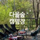 따숩 | 포천 다올숲_애견 동반 캠핑장_아이와 1박2일_내돈내산후기
