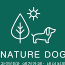 애견의숲 이미지