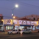 맘모스회센타23호