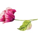 플러스펜 수채 캘리그라피 이미지