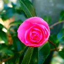 남원읍-14 이미지