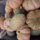 김재연농장 이미지