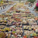 가조농장 이미지