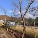 깊은내 팬션 이미지