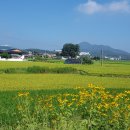 충무공초등학교 이미지