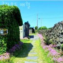 클라우드 애월 이미지