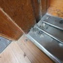 부암초등학교 이미지