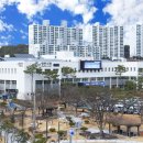 티베이션