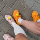 11620-14-44-10 | 2026 부안해변마라톤대회 10km 여자 5위 달성!(첫 상장후기, PB달성 )