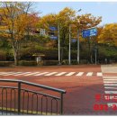 궁내중학교 앞 이미지