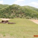 연천신답리고분 이미지