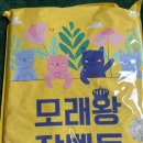 화이유통 | 모래 바꿨더니 냥이 눈꼽이 사라졌다? 미국산 벤토나이트 고양이모래 18kg 솔직 후기 (ft. 모래왕 장벤토)