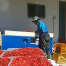 거창-북상-3 이미지