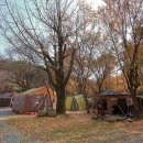 솔내음캠핑장 이미지