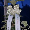 얼쑤농장 네이버블로그