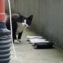 엄천보건진료소 이미지