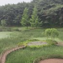 바람소리새소리 이미지