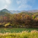 평창동강로 이미지