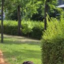 복룡동 어린이놀이테마숲 이미지