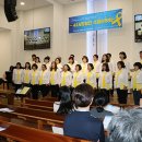 공연세상 Daum카페