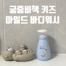 태리홀릭 | [어린이워시 추천] 궁중비책 키즈 마일드 바디워시