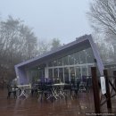 일동고등학교 | 포천 아트밸리 전망카페 후기 (프롬스톤, 반려동물 동반)