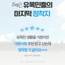 미궁365 | 속 편한 하루 루틴 만들기! 미궁365 대장사랑 오리지널 30포 후기