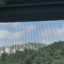 클린 원 | 서산 미세방충망 추천 원클린 내돈내산 시공 후기