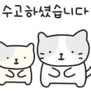 고양이 미용 미오 이미지
