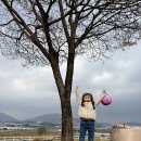 (주)경기 1339구급대 | 2026년 경기도 학생승마 지원사업 용인승마장 금강홀스랜드 수업 후기!