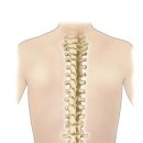 정림한의원 이미지